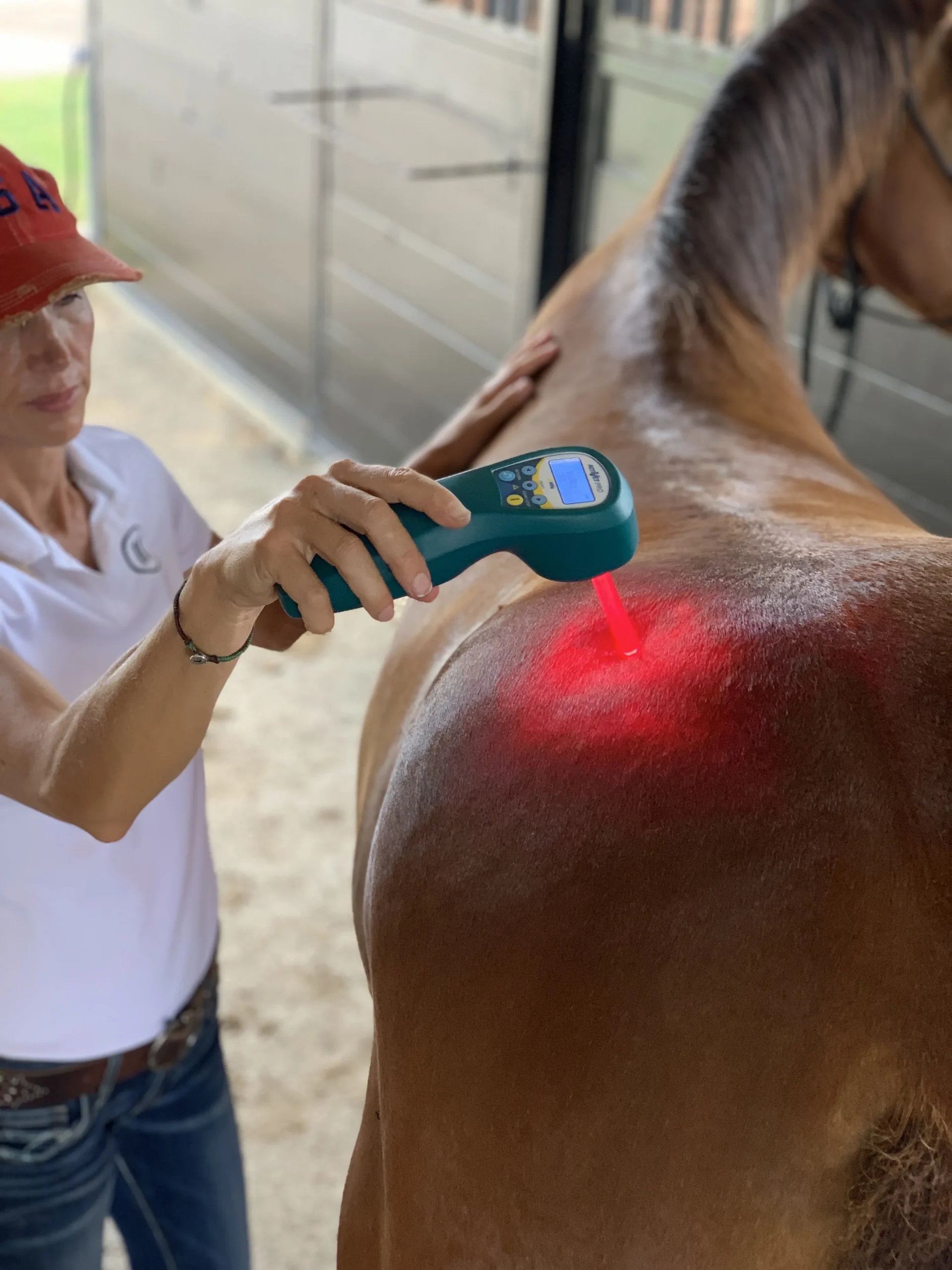 MRM-horse-treatment