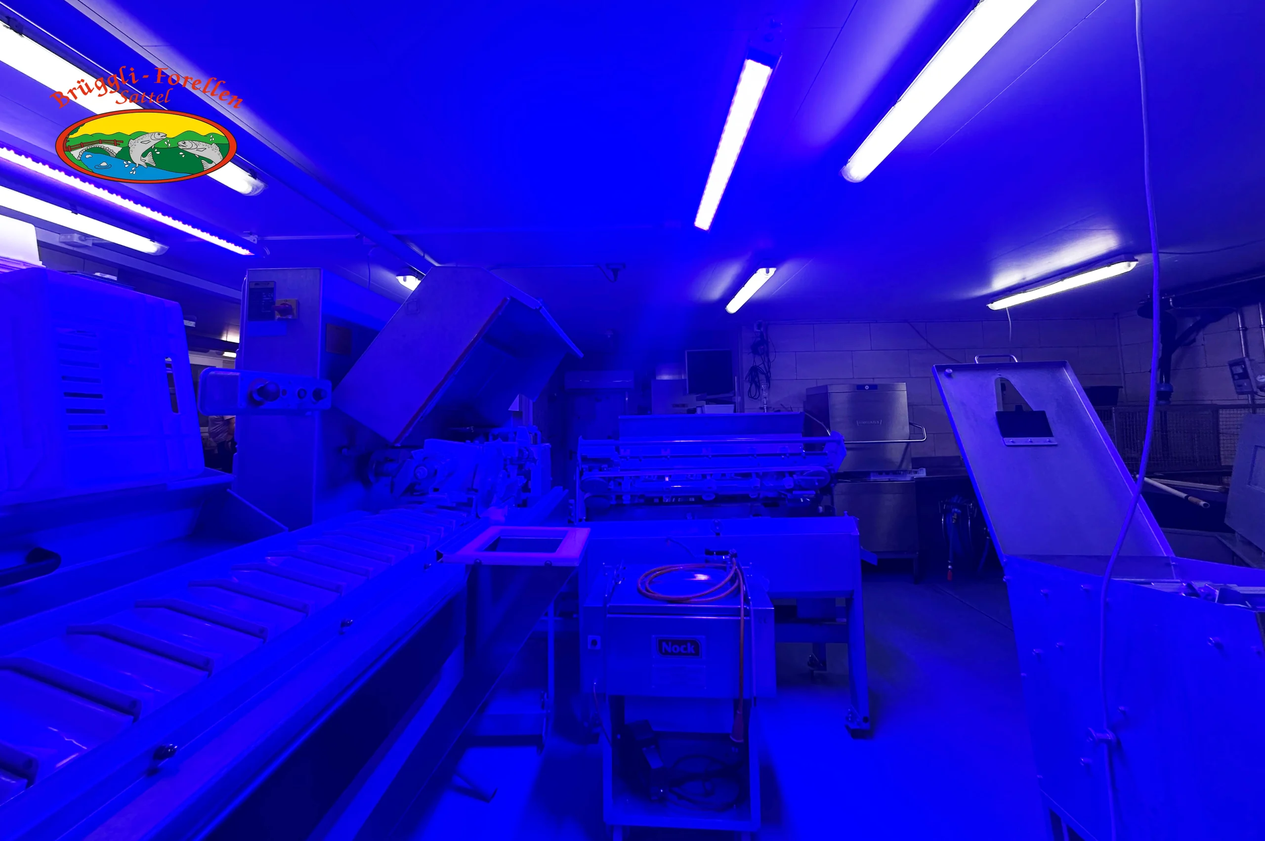 Brüggli Forellen - Spectral Blue Installation