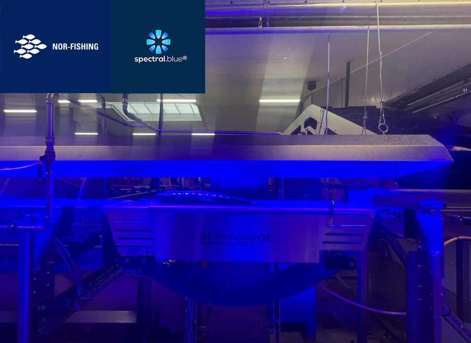 Nor Fishing 2026 -Spectral Blue in Fischverarbeitung